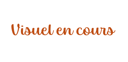 Bûche glacée Praliné noisettes-Framboise